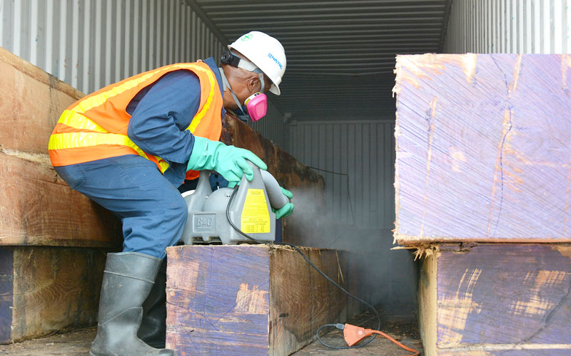 FİRMAMIZDAN KARELER